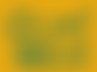 Semester One Reports 2025