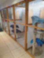 Indoor cattery