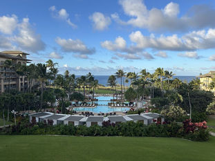 Holiday Break Reading Broke a Pandemic “Curse”