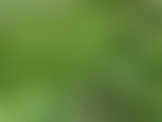 Opportunity: Over $250 billion in assets is currently under management at a Donor-Advised Fund (DAF) in the U.S* and intended for charitable purposes.