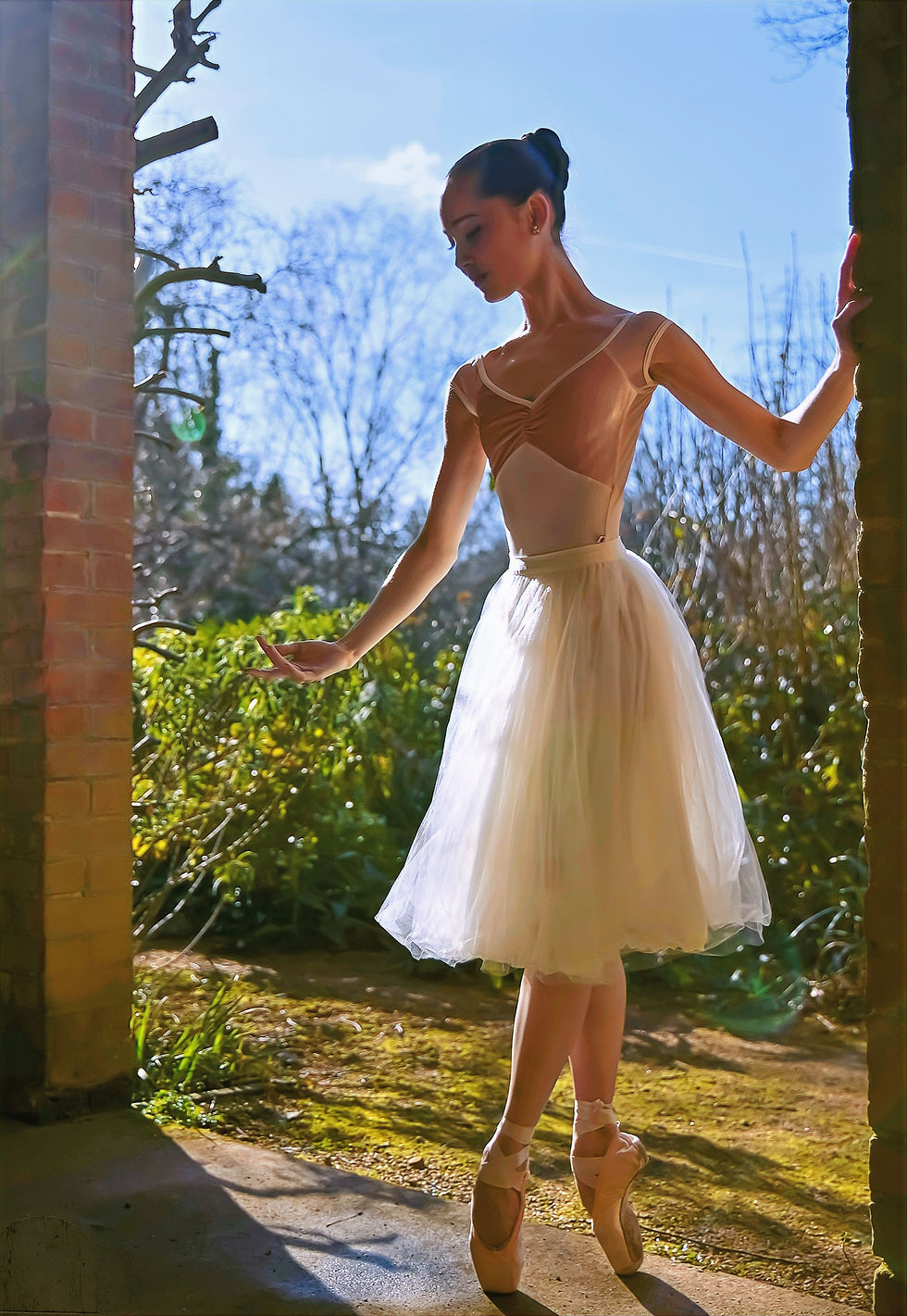 サムネイル： 4 Layer Tulle/chiffon Rehearsal🩰