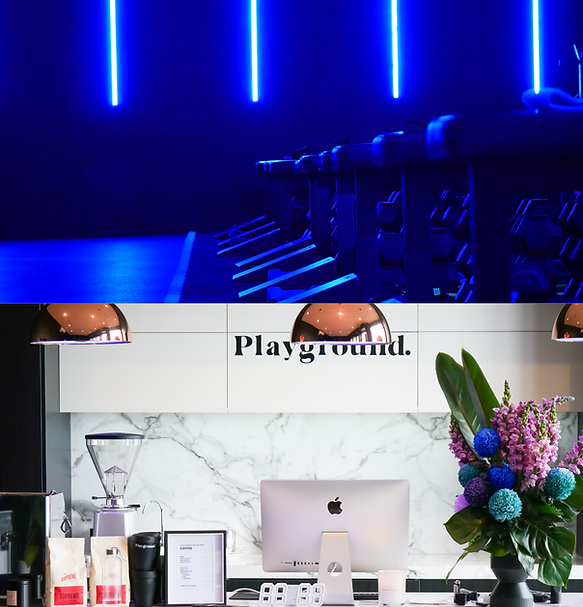 Untitled design (2).png