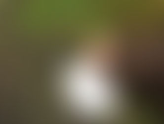 しといてよかった