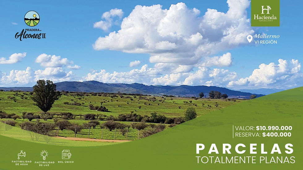 WhatsApp Image 2021-03-03 at 10.27.55 AM