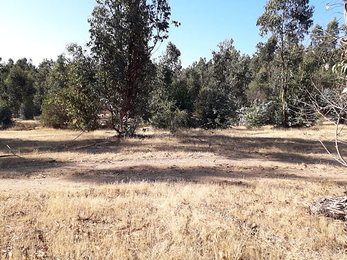 WhatsApp Image 2021-02-19 at 8.00.39 AM.