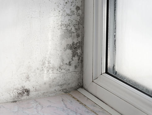mold.jpg