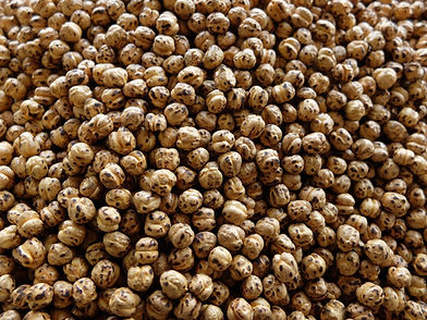 Garbanzos crocantes al horno saborizados con especias a gusto
