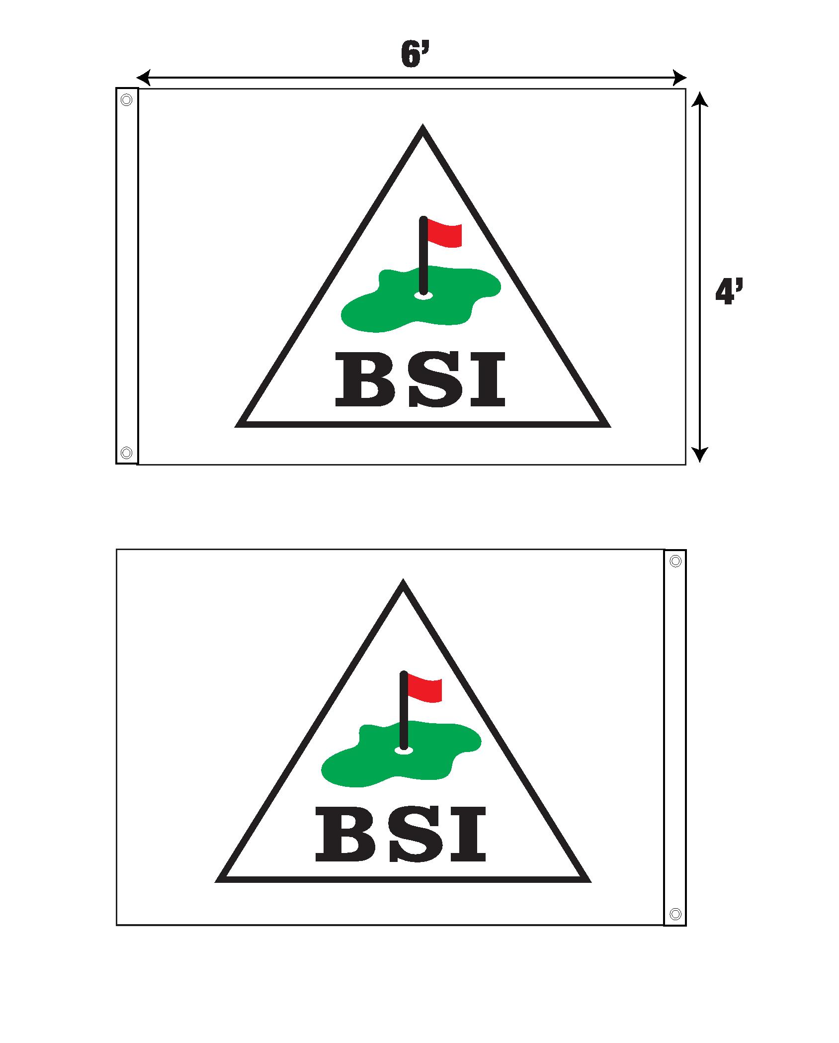 BSI Services