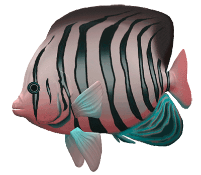 fish.gif