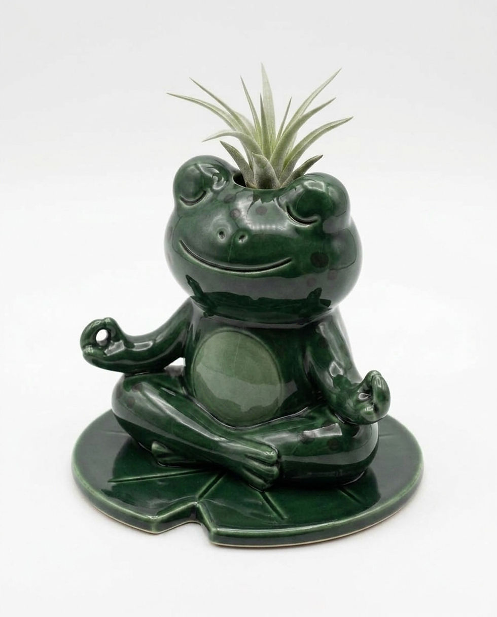 Zen Frog (2)