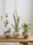 Flora Video