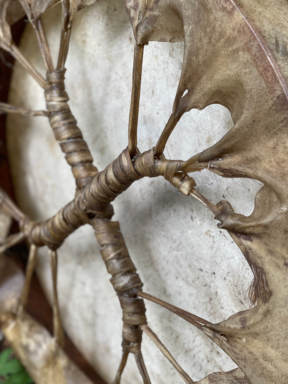 Thumbnail: Norfolk Frame Drum with willow beater