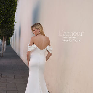 Satin Off the Shoulder Wedding Dress with a Basque Waistline