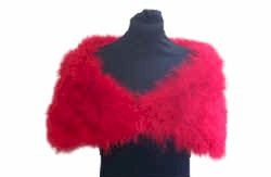 Thumbnail: Smooth Feather Wrap