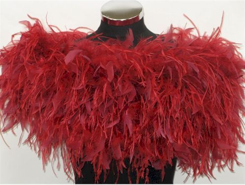 Thumbnail: Ostrich Feather Wrap
