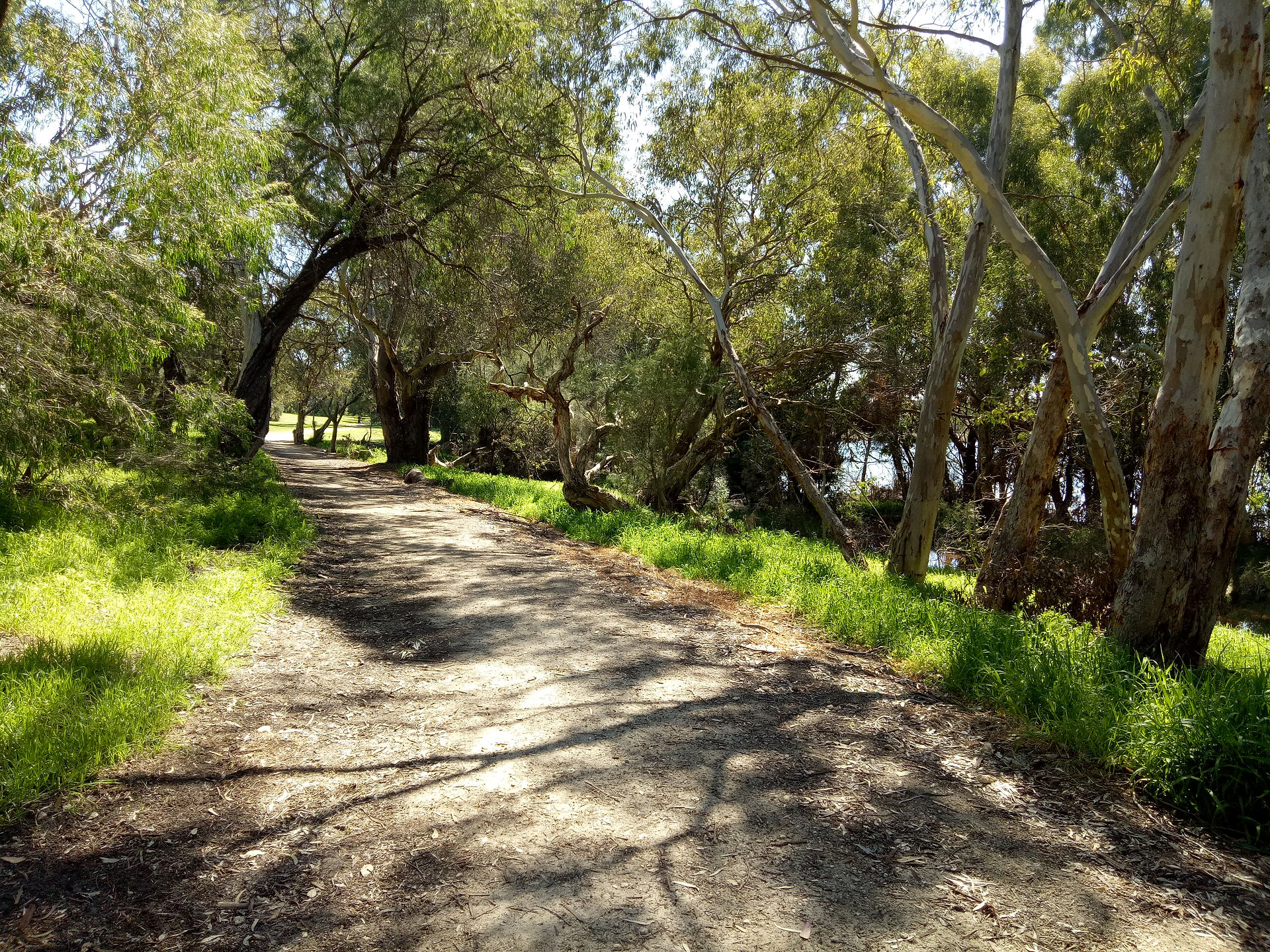 North Lake Loop Trail