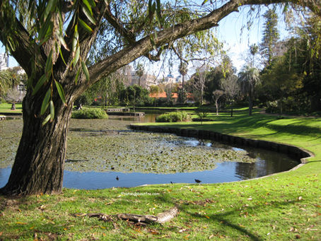 Queens Gardens - East Perth