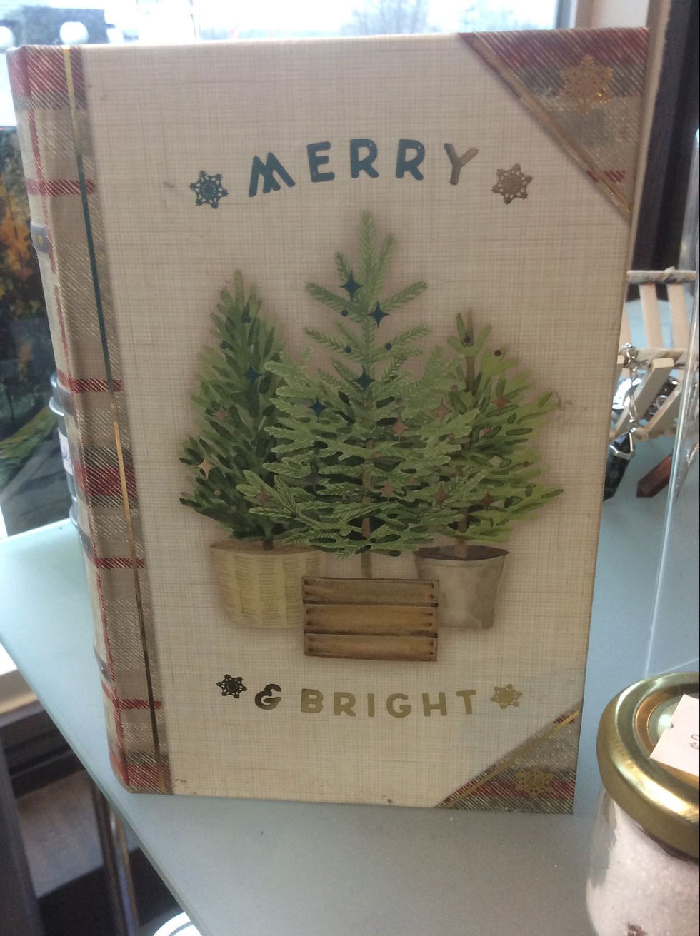 “Merry and Bright” False Book (Storage)