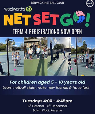 Netsetgo Term 4 2026.jpg