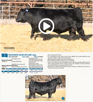 Screen Shot 2026-01-09 at 07.12.54 AM.png