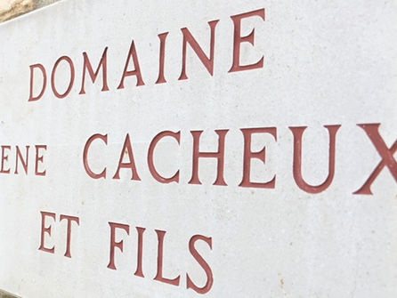 Domaine Rene Cacheux & Fils 新代理