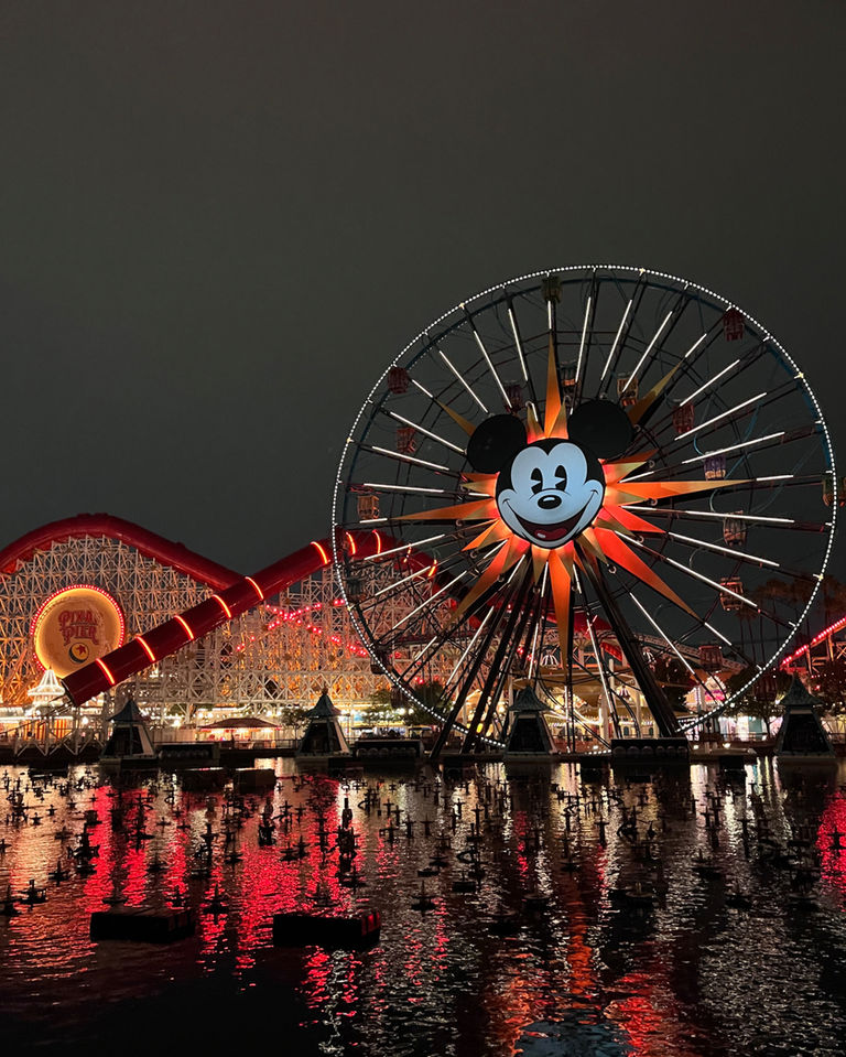 Disney y Universal con agente de viajes