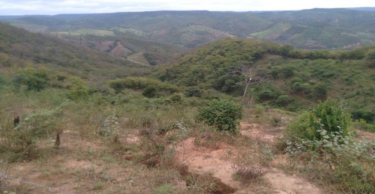 Território do quilombo do Curtume visto de cima. Foto: Ronaldo Tavares