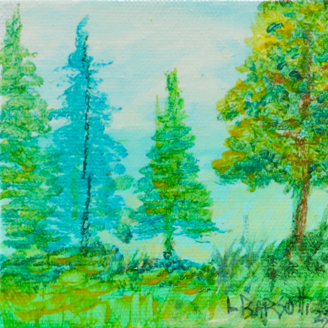 Larry Barsotti | Spring