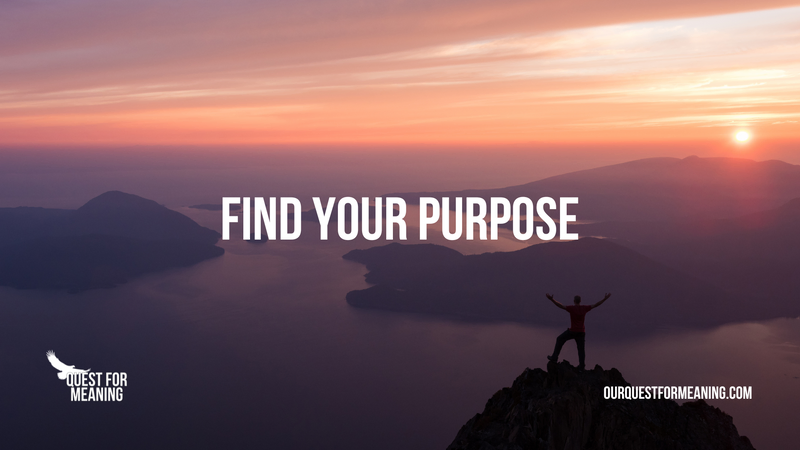 find your purpose