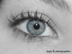 Oeil