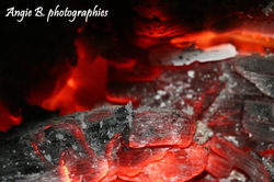 braise