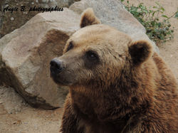 ours