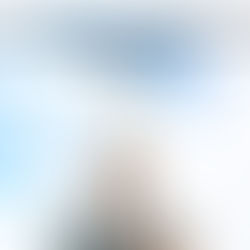 Answering The Most Googled Questions About Disney World! Part 1