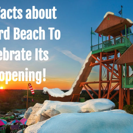 Fun Facts about Blizzard Beach To Celebrate Its Reopening!