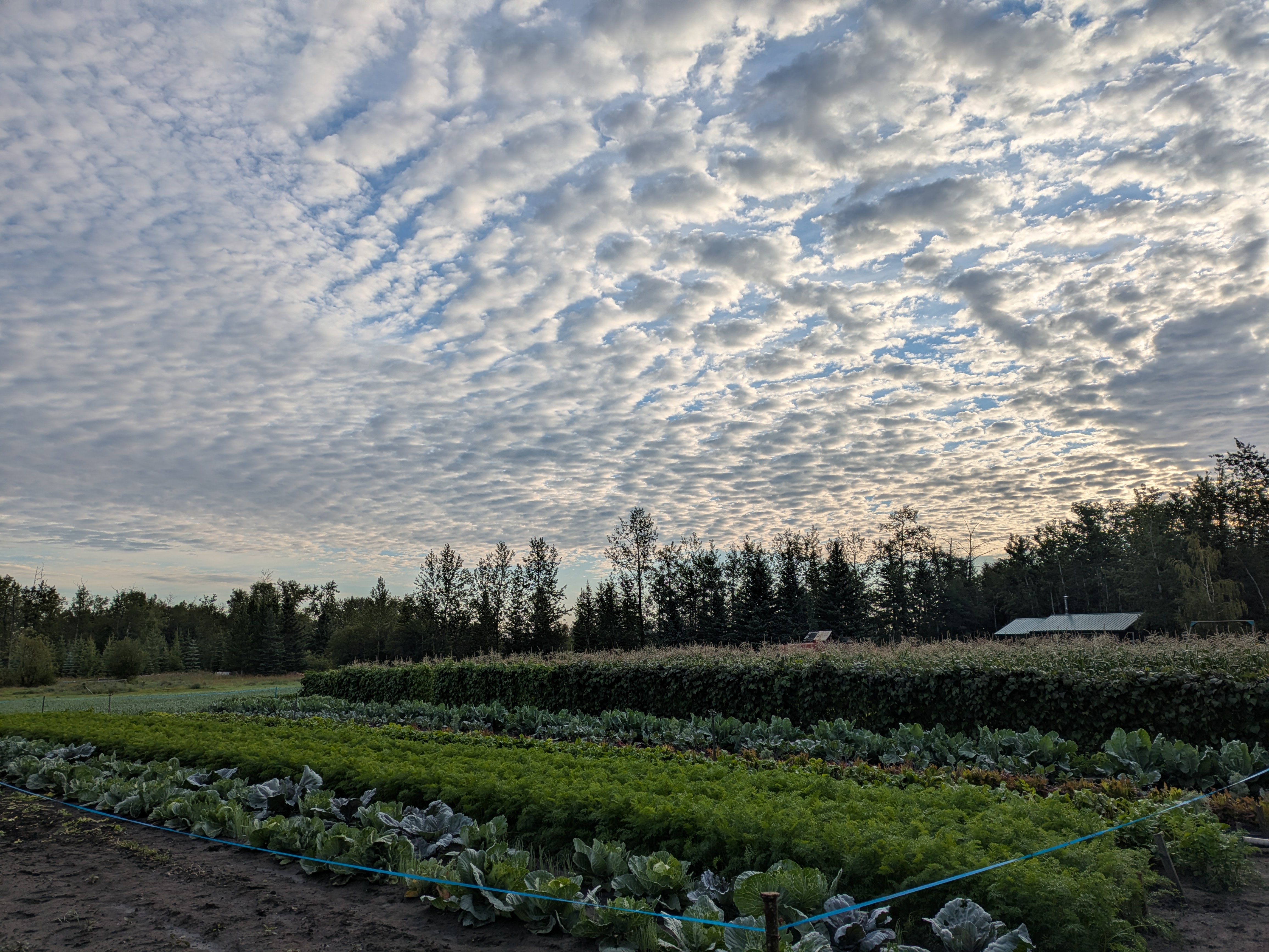 Writer: Tipi Creek Farm