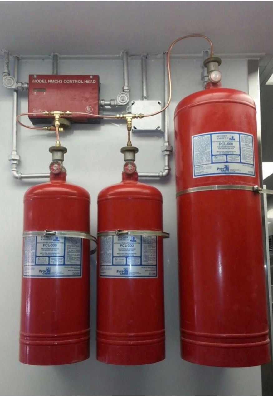image1.jpeg
