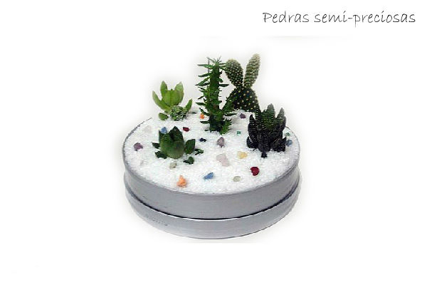 Mini Jardim Semi Preciosas
