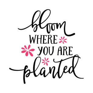 Bloom where you are planted