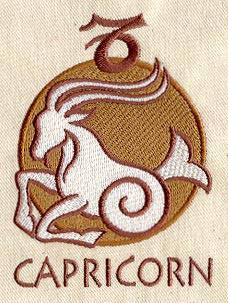 Capricorn / Steenbok
