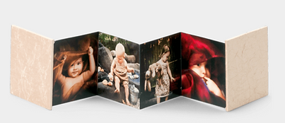 Screen Shot 2022-02-08 at 8.30.45 AM.png