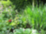 weelderige beplanting juli