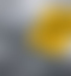 Is AI a Tool or a Potential Vulnerability?