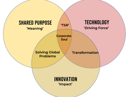 Purpose, Technology and Innovation – the building blocks of Corporate Soul in the 4th Industrial Revolution