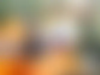 Discover the 5OUND Travel Solar Pad: Your Ultimate Outdoor Power Solution