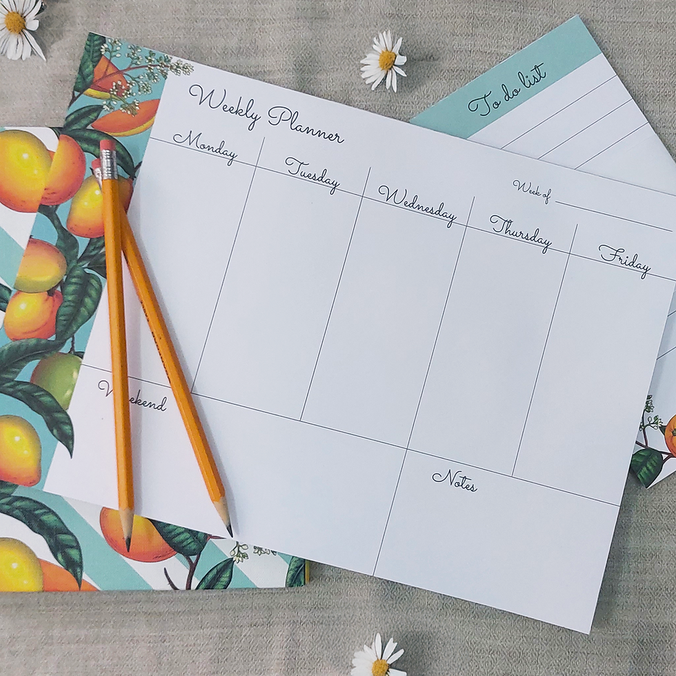 Thumbnail: Mango Summer Full collection