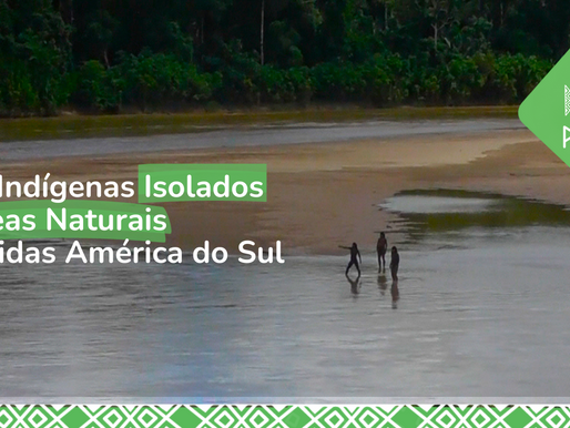 Povos Indígenas Isolados em Áreas Naturais Protegidas