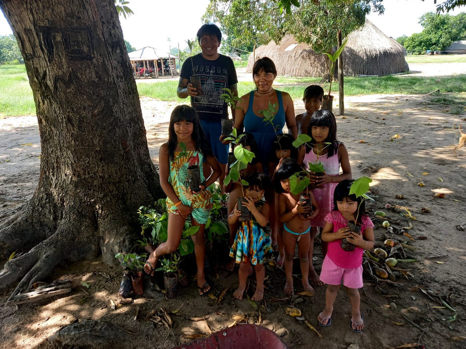 Ecological restoration program of Rainforest