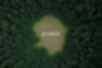 forust logo insode forest