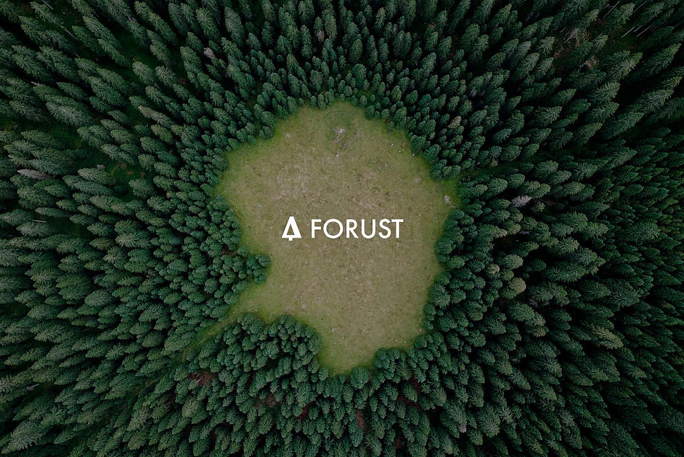 forust logo insode forest