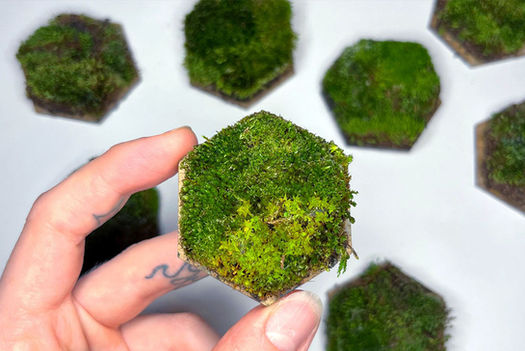 Cultivating creativity: growing graphics with biophilic design